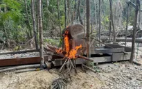 Gần 200 người bị bắt trong chiến dịch trấn áp khai thác vàng xuyên biên giới ở vùng Amazon