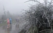 Rét đậm, rét hại bao trùm Bắc Bộ, vùng núi cao đề phòng băng giá