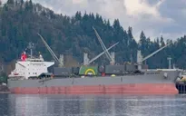 Tàu treo cờ Singapore bị lật, ít nhất 2 người thiệt mạng