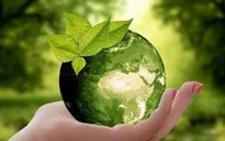 Trách nhiệm của UBND cấp xã trong bảo vệ môi trường