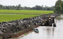 Xâm nhập mặn ở Đồng Tháp có xu thế tăng dịp Tết Nguyên đán