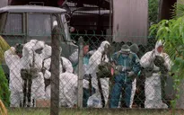 Xuất hiện ổ dịch virus Nipah tại Ấn Độ, một số nước châu Á nâng mức cảnh báo