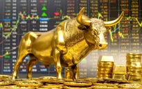 Sàn giao dịch vàng: Hướng đi bền vững cho thị trường