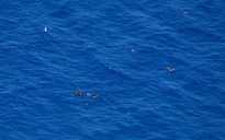 Hàng trăm người di cư thiệt mạng ở Địa Trung Hải kể từ đầu năm 2026