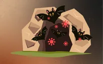 Virus Nipah - mối liên hệ giữa môi trường, động vật hoang dã và sức khỏe con người