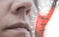 Infographic: Người nhiễm virus Nipah có triệu chứng ban đầu như thế nào?