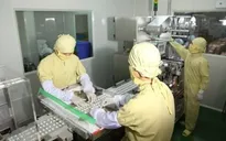 Điều kiện bảo đảm an toàn trong sản xuất thực phẩm bảo vệ sức khỏe