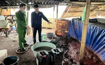 Hà Nội: Hơn 6,7 tấn chất thải nguy hại bị đổ trái phép ven sông Đuống