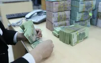 Tiêu chí phân bổ vốn ngân sách trung ương thực hiện Chương trình mục tiêu quốc gia phòng, chống ma túy