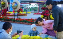 Nhiều chính sách mới trong Luật Dân số, chú trọng chất lượng và cơ cấu dân số