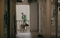 Đồng hồ đếm ngược - Tập 1: Thành "ngẫn" cứu chó Coddy từ lò mổ, vận may bắt đầu đến