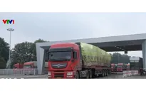 Tháo gỡ khó khăn cho nông sản nhập khẩu