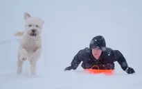 Bão tuyết tiếp tục càn quét nước Mỹ, hơn 100 người thiệt mạng