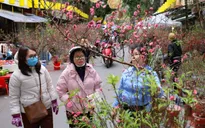 Thủ tướng đôn đốc thực hiện nhiệm vụ phục vụ Nhân dân đón Tết Nguyên đán Bính Ngọ 2026