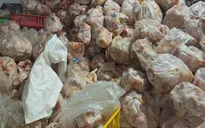 Phát hiện hơn 10 tấn thịt gà không rõ nguồn gốc ở Khánh Hòa