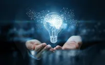 Triển khai thi hành Luật sửa đổi, bổ sung một số điều của Luật Sở hữu trí tuệ