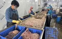 Cận cảnh cơ sở “hô biến” lòng lợn bốc mùi thành vỏ xúc xích, lạp xưởng ở Hà Nội