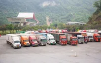 Hải quan trực 24/7 giải quyết thông quan thực phẩm nhập khẩu