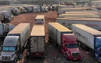 Tạm dừng Nghị định 46: Hải quan tăng tốc thông quan hàng thực phẩm