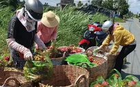 Trung Quốc chi gần 1,5 tỷ USD mua nông sản Việt đầu năm