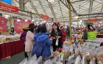 Những lưu ý khi đến Hội chợ Mùa Xuân 2026