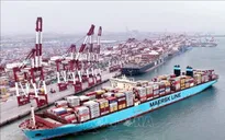 Maersk cắt giảm 1.000 việc làm trước sức ép dư cung vận tải biển