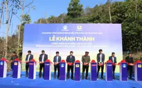 Điện Biên: 194 hộ dân vùng cao được sử dụng điện lưới quốc gia trước Tết nguyên đán