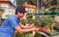 Hoa Tết vào vụ, chợ hoa xuân rộn ràng