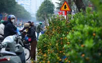 Sắc xuân xuống phố, người dân rục rịch sắm Tết