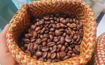 Giá cà phê tuột mốc 100.000 đồng/kg