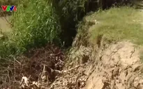Khánh Hòa: Bờ sông Lu sạt lở, nhiều đoạn mất hẳn đường đi