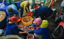 Thời tiết Tết ông Công, ông Táo: Bắc Bộ đỡ rét, Trung Bộ giảm mưa