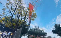 Cây nêu ngày Tết - dấu ấn văn hóa Việt và điểm chạm du xuân tại Khánh Hòa