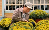 Nhiều người mua hoa Tết sớm, chia sẻ khó khăn sau thiên tai