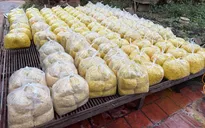 Phát hiện cơ sở ở Bắc Ninh trộn chất cấm vào riềng xay bán ra thị trường