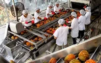 Trung Quốc tăng yêu cầu truy xuất với nhiều nông sản