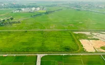 Không để gián đoạn thủ tục đất đai khi chờ ban hành quy định mới