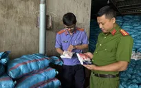 Khởi tố nữ giám đốc ở Đắk Lắk sản xuất 1.700 tấn muối i-ốt giả