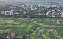 Sự hồi sinh của những mảnh đất sau thiên tai