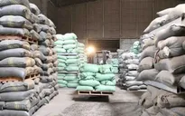 Cục Dự trữ Nhà nước xuất cấp hơn 14.660 tấn gạo dự trữ hỗ trợ Tết và giáp hạt năm 2026 