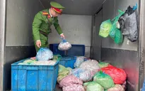 Hà Nội: Phát hiện xe tải vận chuyển 350kg nội tạng động vật không rõ nguồn gốc