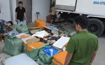 TP Hồ Chí Minh tiêu hủy gần 29 tấn thực phẩm bẩn trước Tết