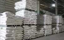 Giá gạo Ấn Độ và Thái Lan ít biến động trước thềm Tết Nguyên đán