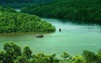 Một ngày du xuân Cần Giờ, trọn niềm vui cho cả gia đình, vẹn ký ức cho nhiều mùa Tết