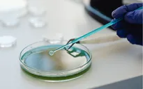 Bộ Y tế yêu cầu xử lý vụ nghi ngộ độc thực phẩm do ăn cá ủ chua tại Đà Nẵng