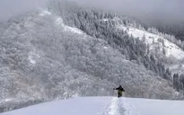 Một phụ nữ Việt Nam thiệt mạng khi leo núi tại Nhật Bản