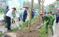Hà Nội: Trồng cây xanh làm đẹp không gian đô thị, cải thiện chất lượng không khí