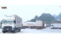 Các cửa khẩu Lạng Sơn bắt đầu hoạt động trở lại