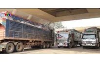 Xuất nhập khẩu nông sản phía Nam tăng nhiệt ngay đầu năm