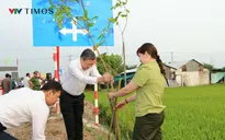 Thông điệp xanh từ Tết trồng cây ở Cần Thơ